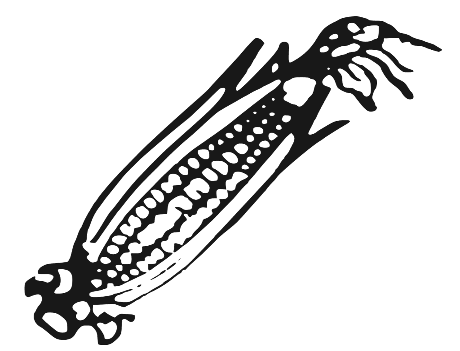 People's Party of Arunachal